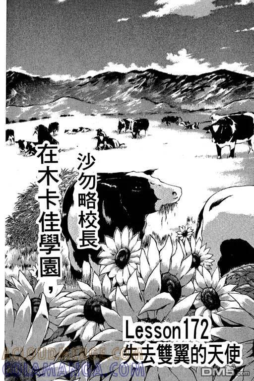 第177页