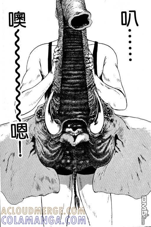 第181页