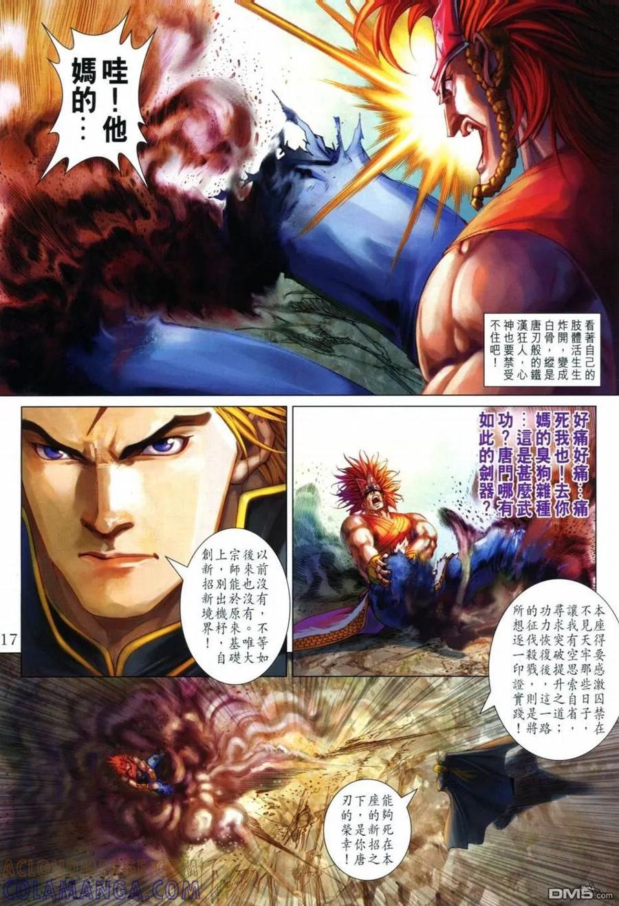 第17页