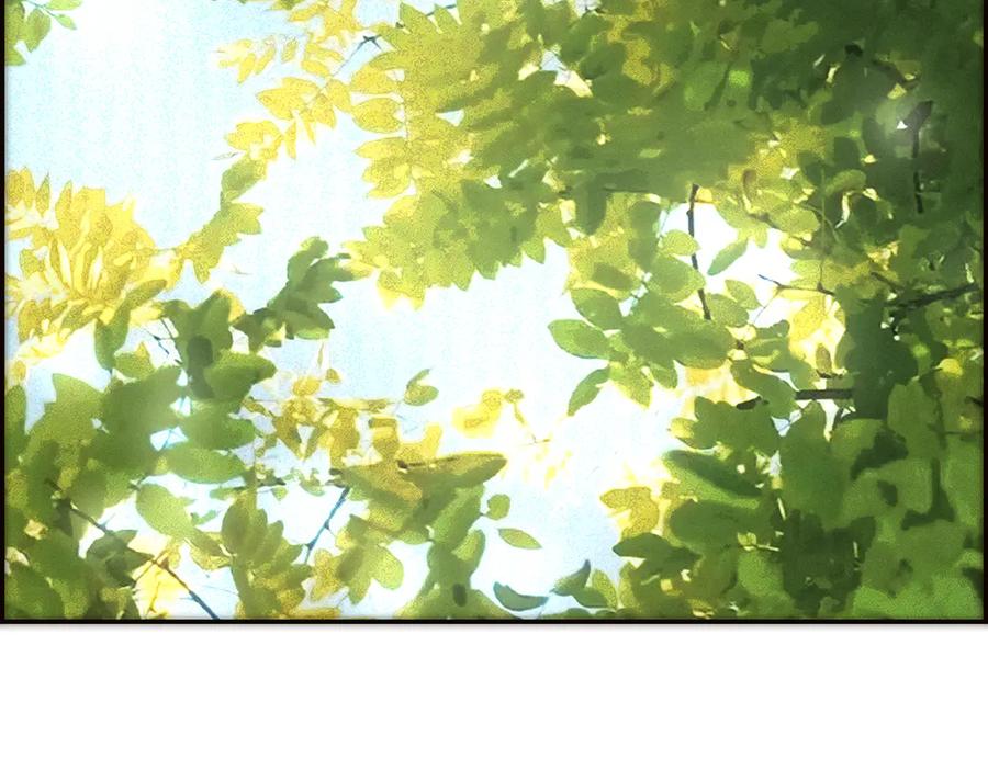 第203页