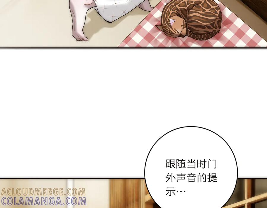 第213页