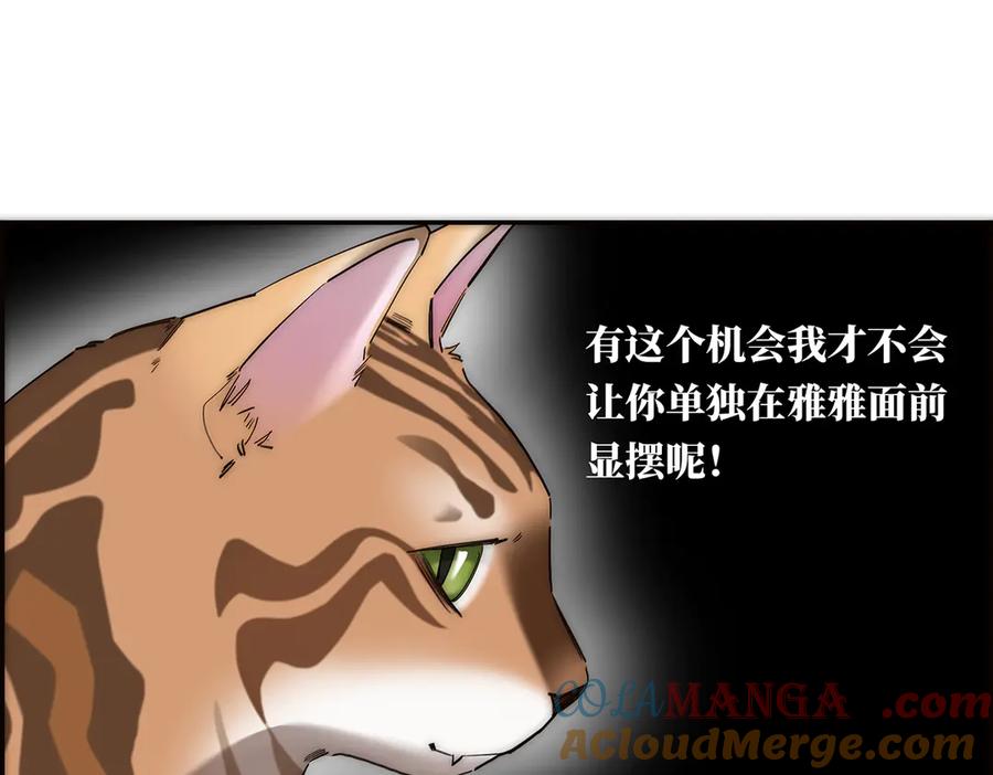 第121页