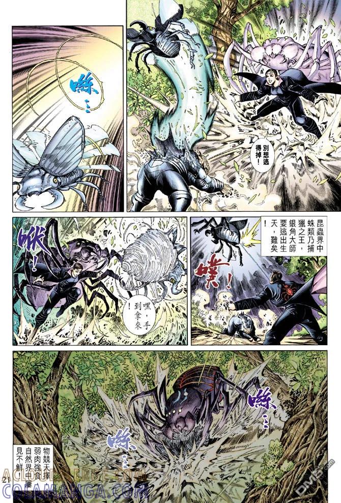 第21页