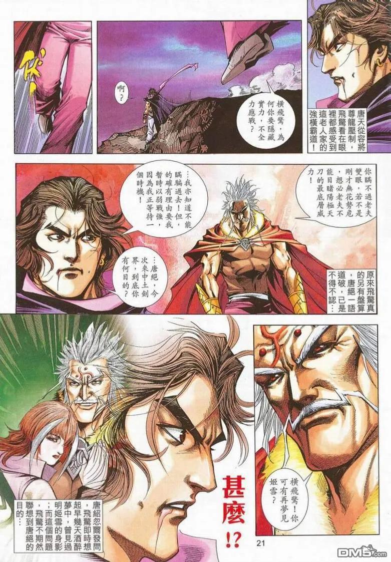 第20页