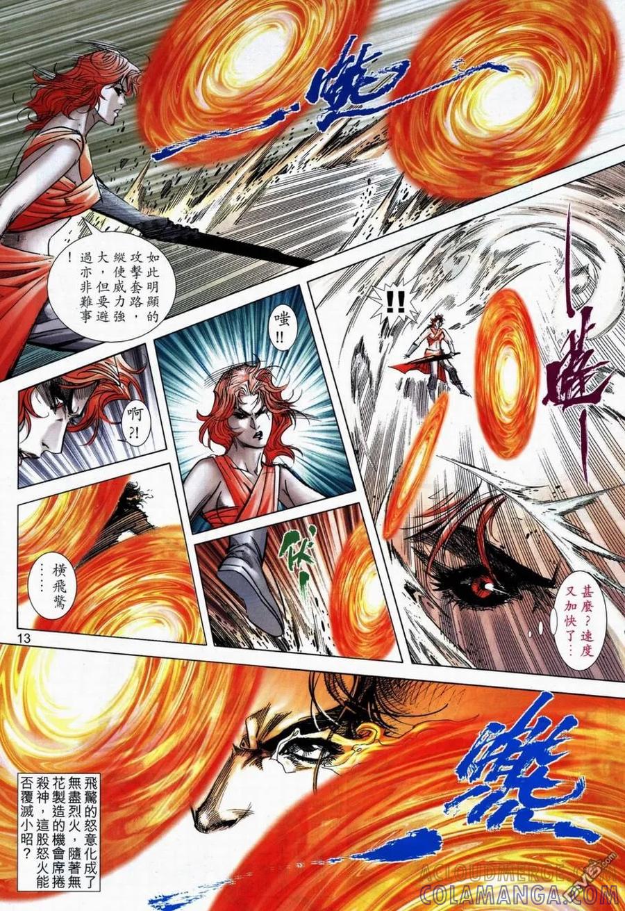 第13页