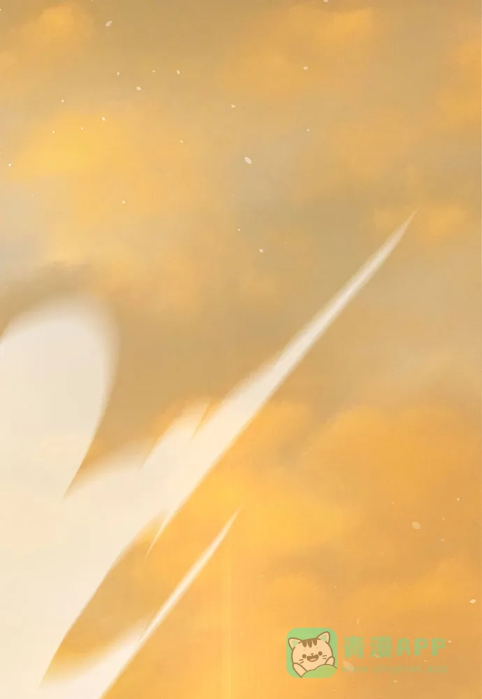 第202页