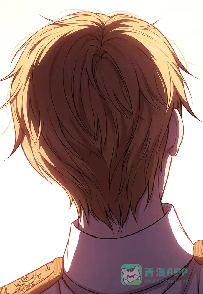 第208页