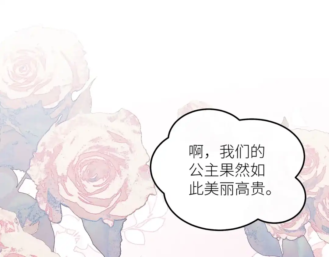 第241页