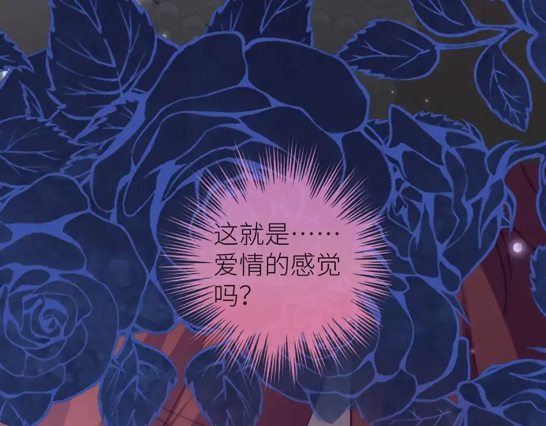 第244页