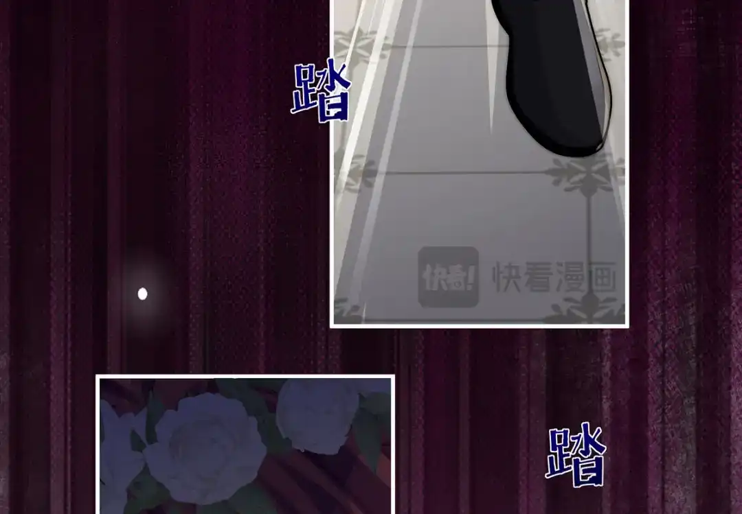 第259页