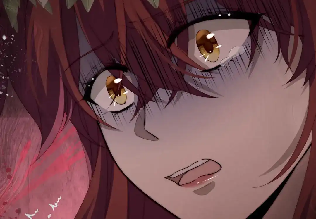 第244页