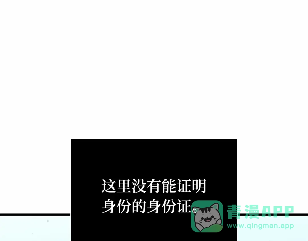 第231页