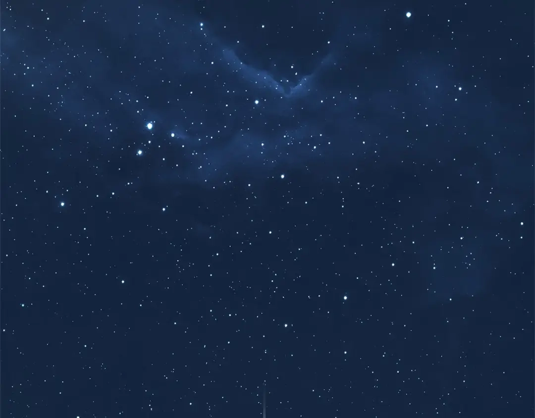 第206页