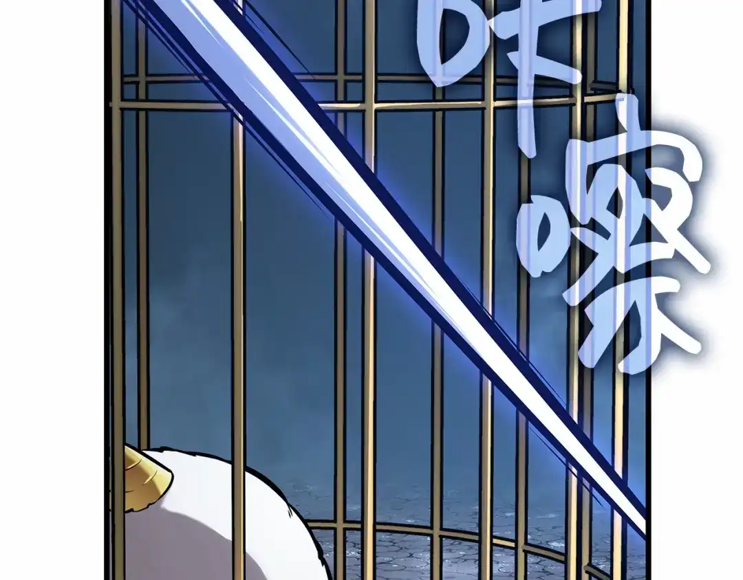第207页
