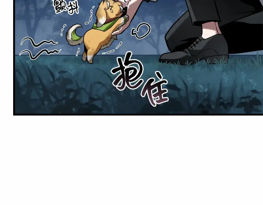 第204页