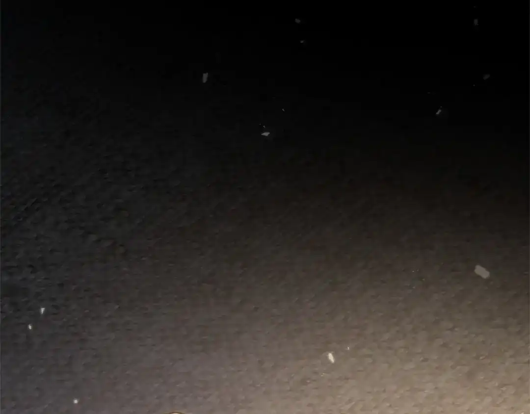 第178页
