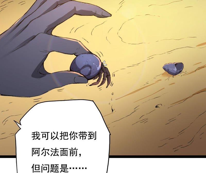 第233页