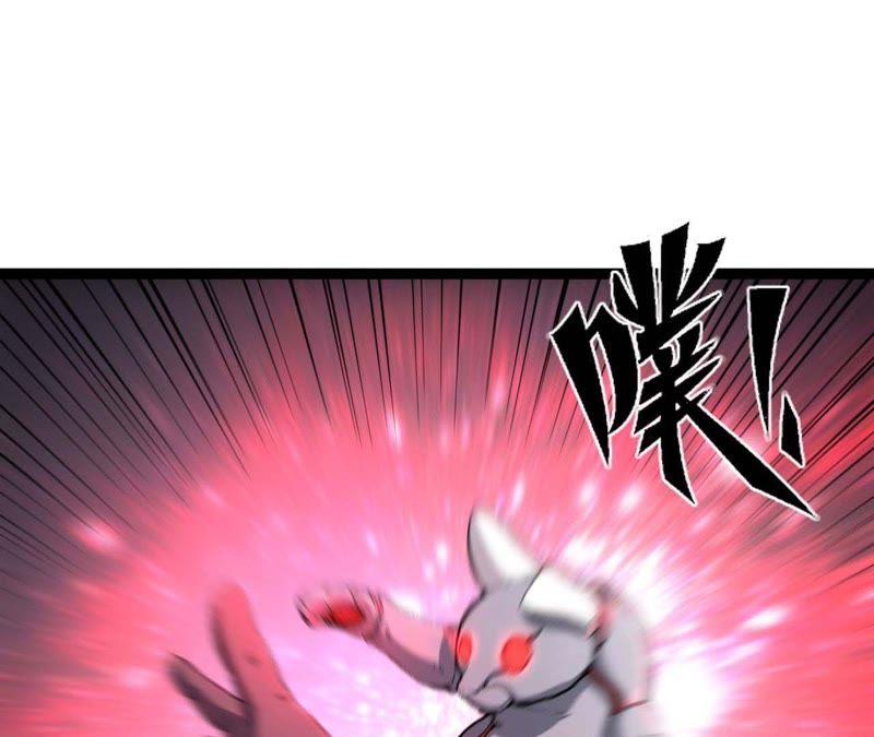 第216页