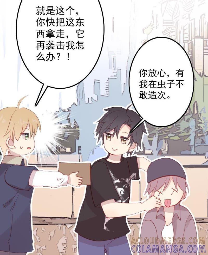 第55页