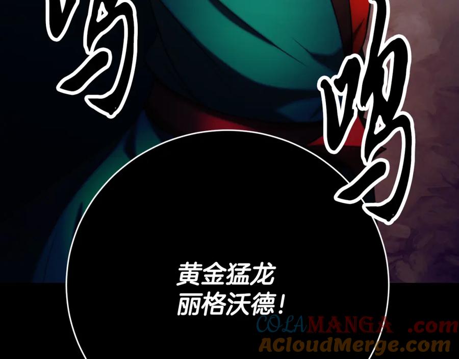 第217页