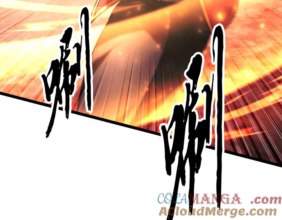 第209页