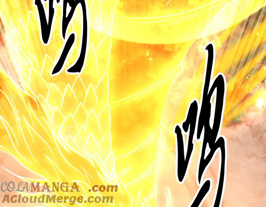 第229页