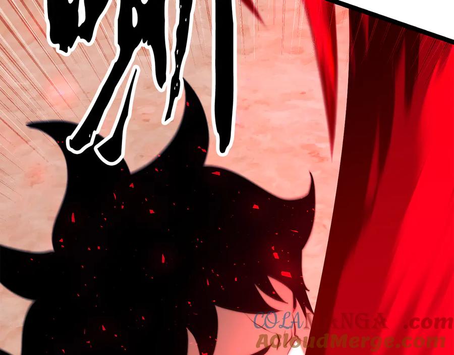 第233页