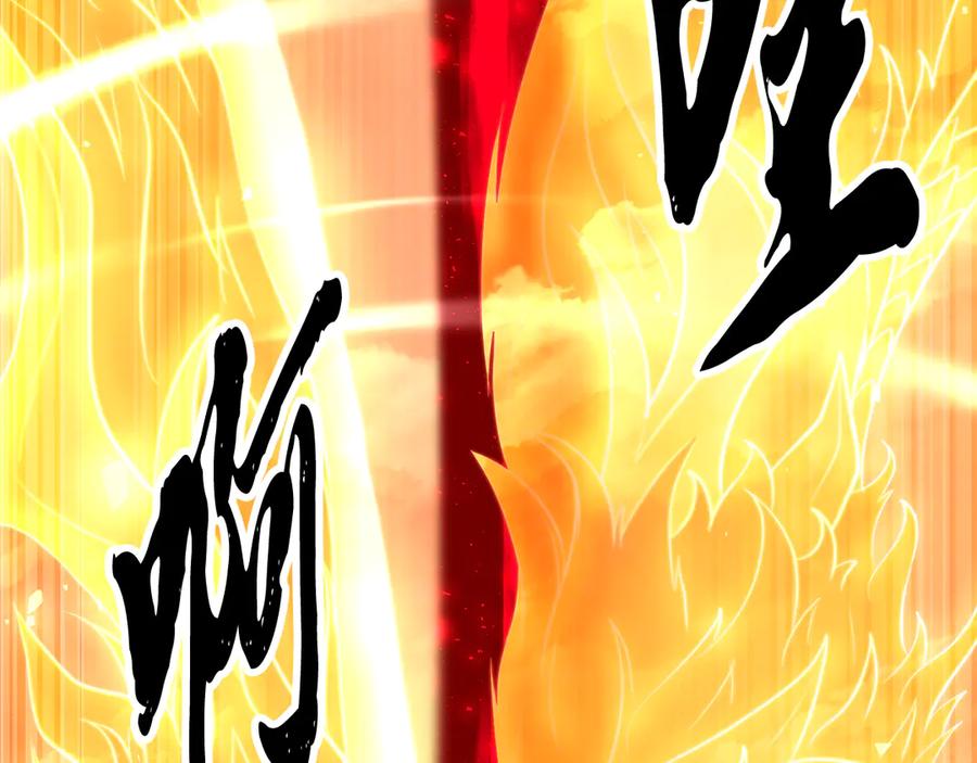 第239页