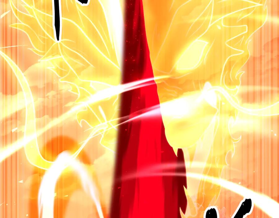 第240页