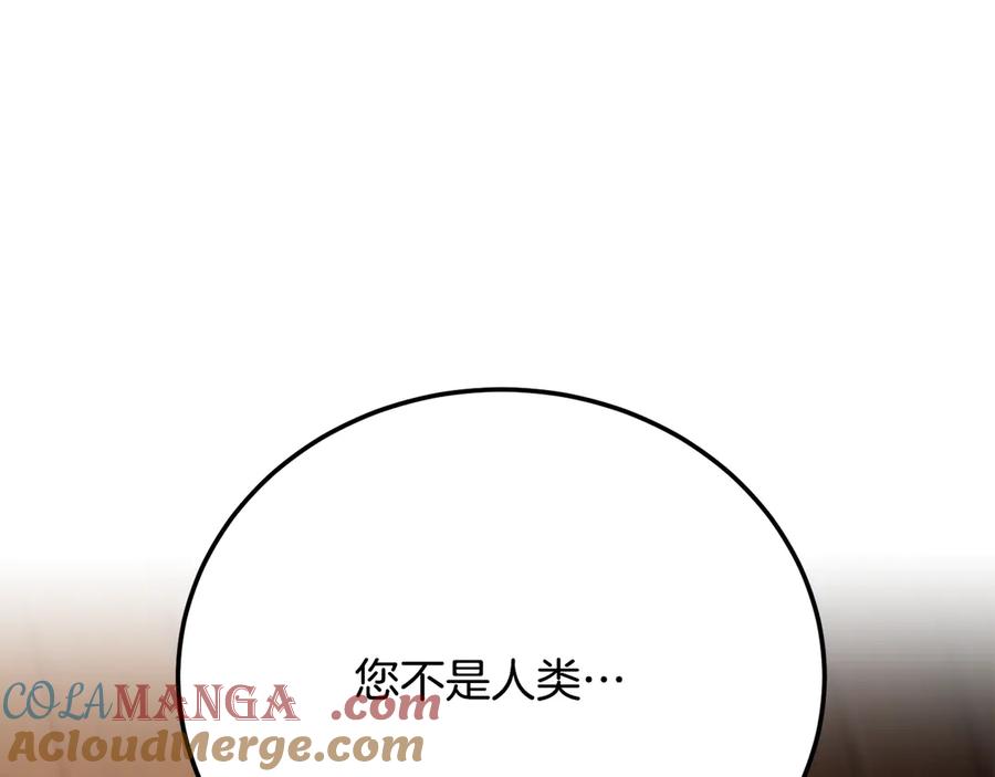 第261页
