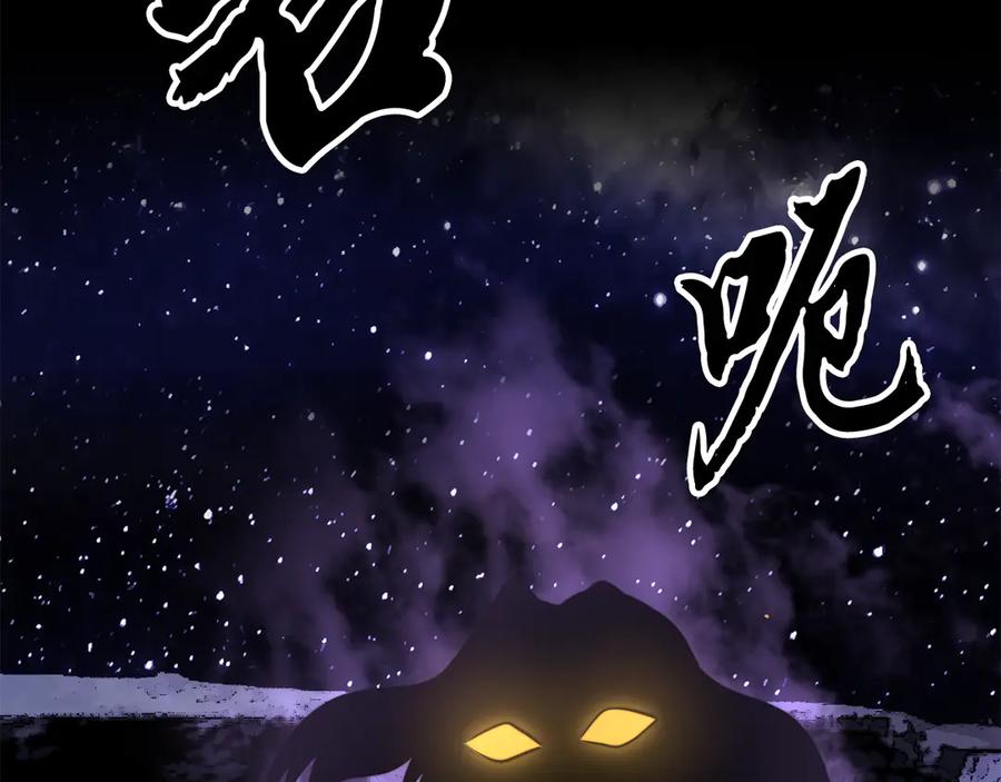 第223页