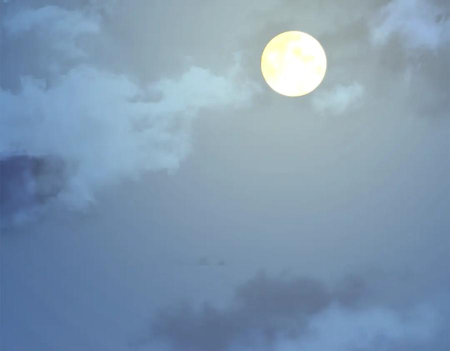第247页