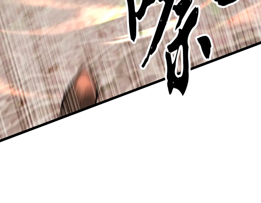 第223页