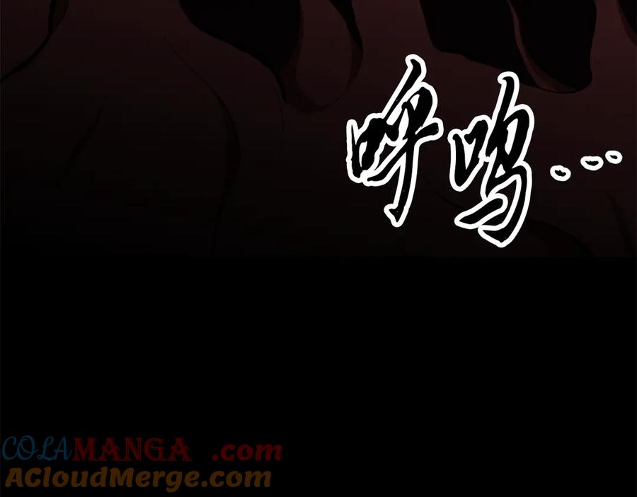 第209页