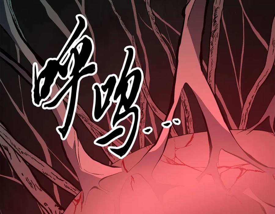 第223页