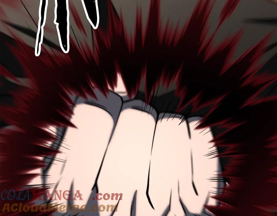 第205页