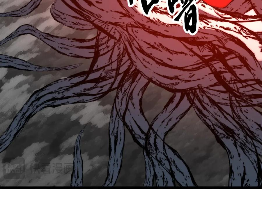 第223页