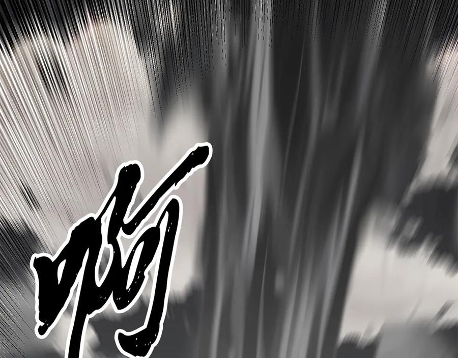 第205页