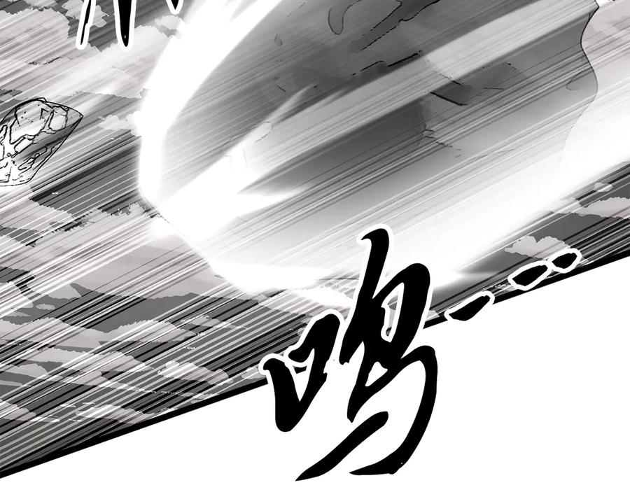 第215页
