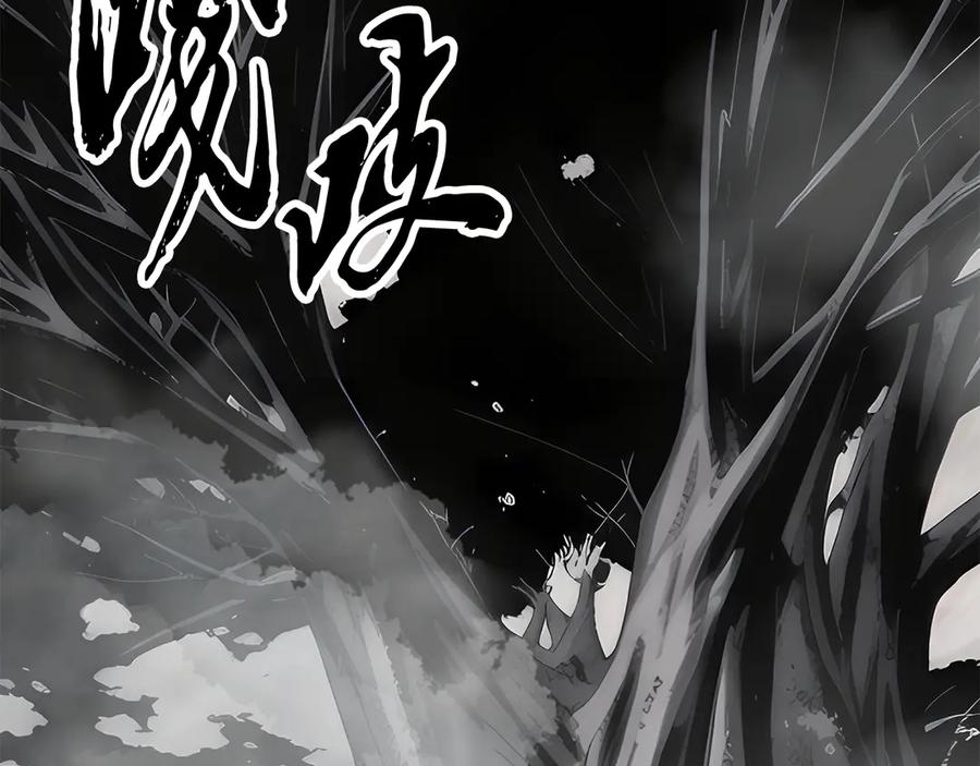 第231页