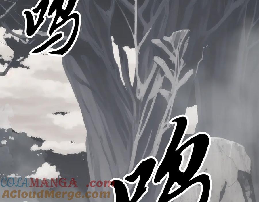 第205页