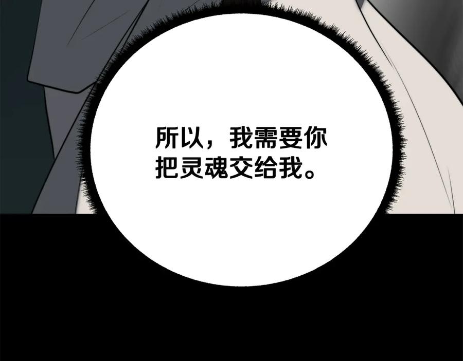 第260页