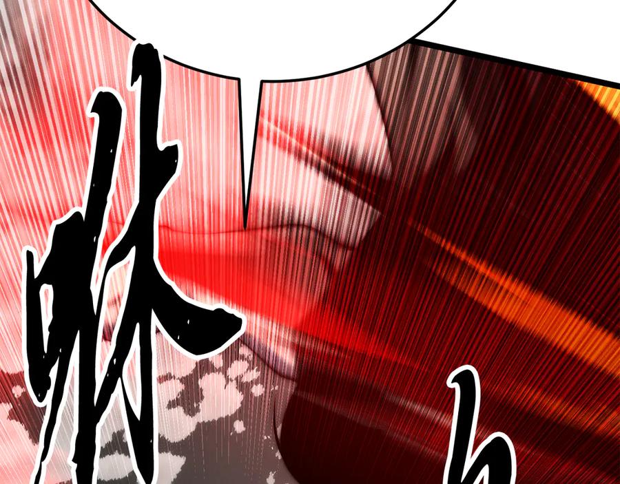 第446页