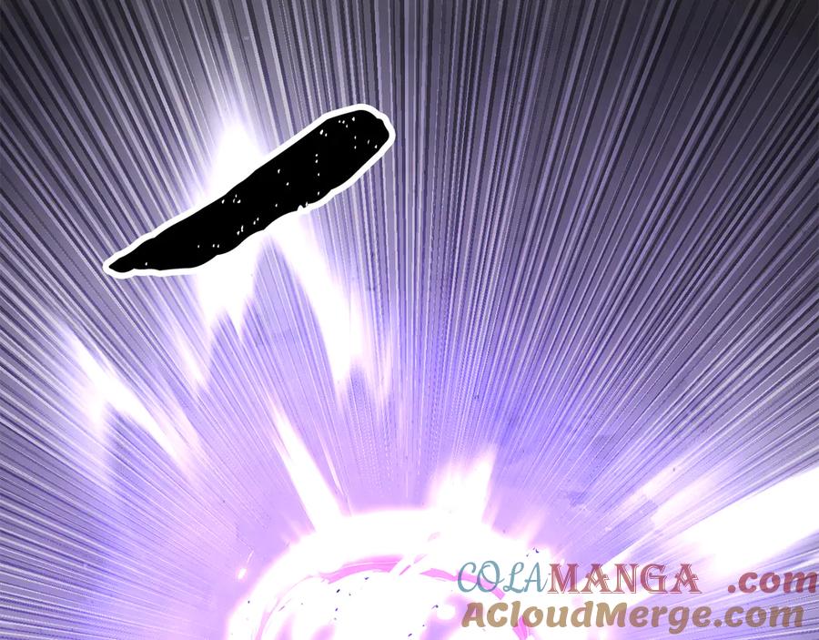 第241页