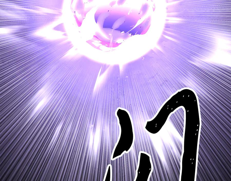 第242页