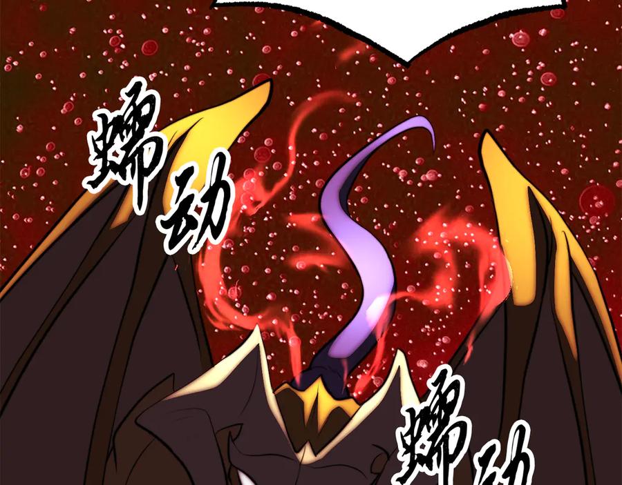 第255页