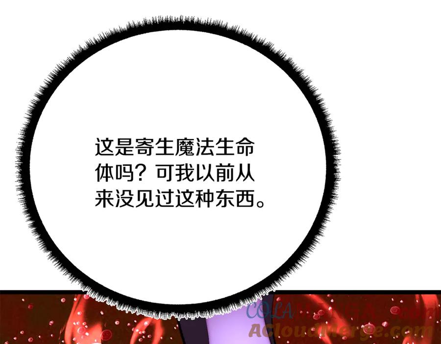 第257页