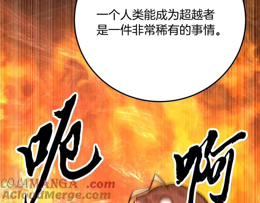 第301页