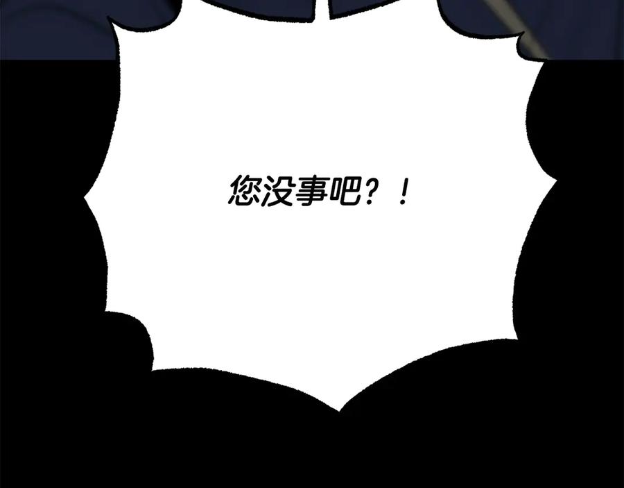 第447页