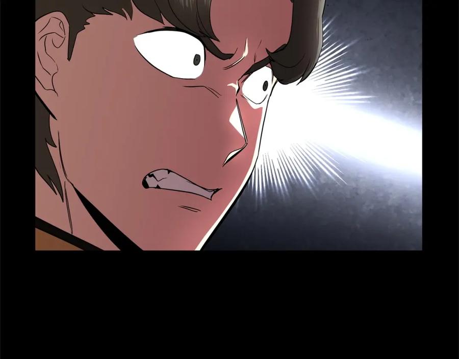 第204页